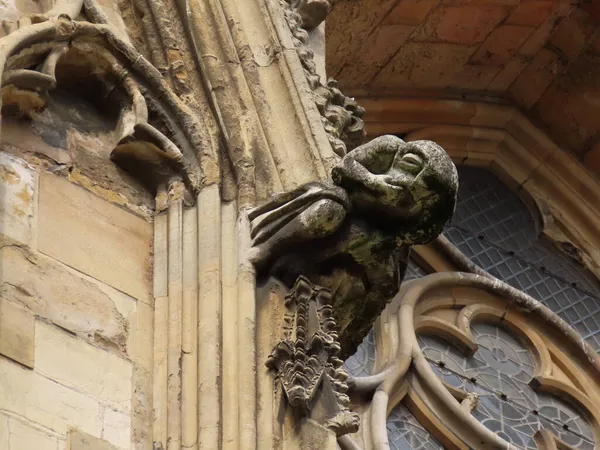 Gargulec katedry Yorku — Zdjęcie stockowe