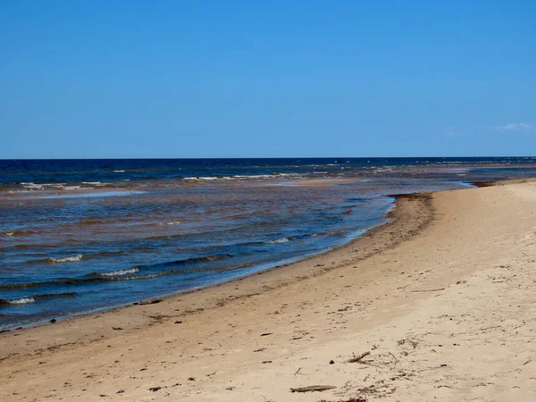 Baltık Denizi ve Sahili