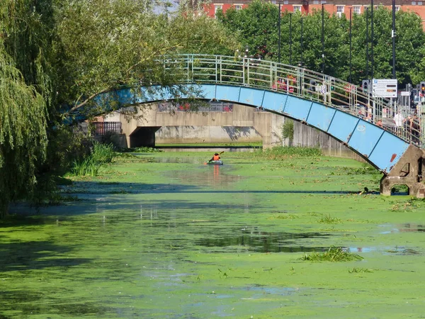 Μπλε Πεζογέφυρα Πάνω Από Duckweed Κάλυψε River Foss Στο York — Φωτογραφία Αρχείου