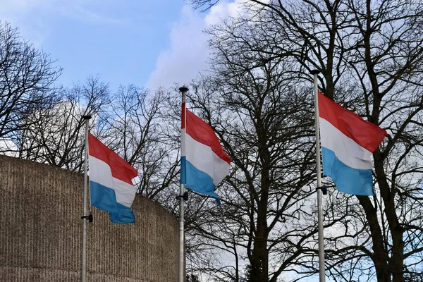 Drie Luxemburgse vlaggen — Stockfoto
