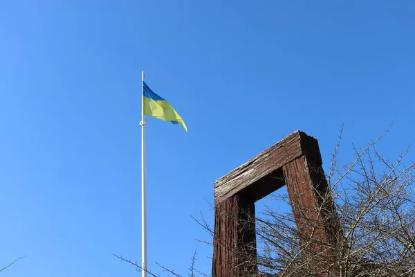 Oekraïne vlag zwaaien — Stockfoto