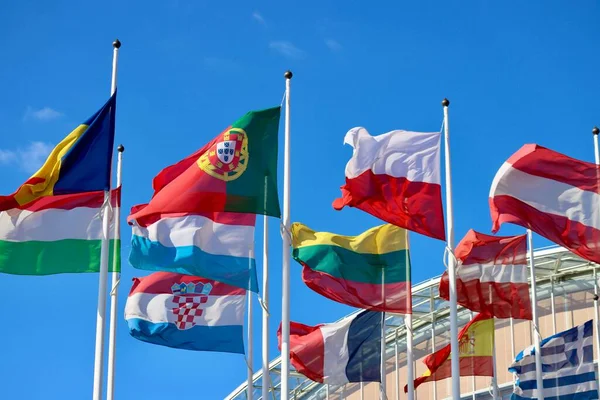 Groep EU-vlaggen — Stockfoto