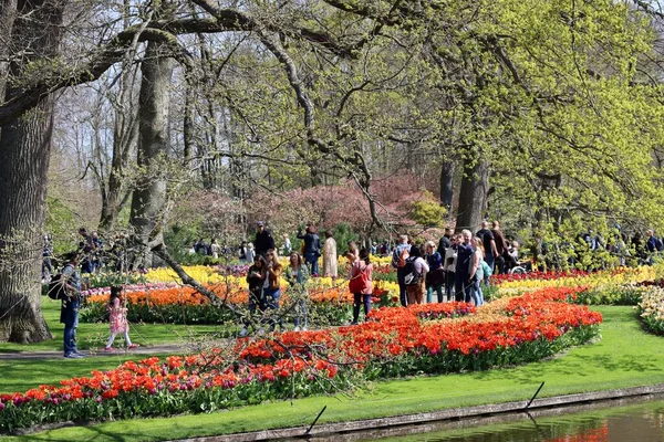 Lale keukenhof içinde