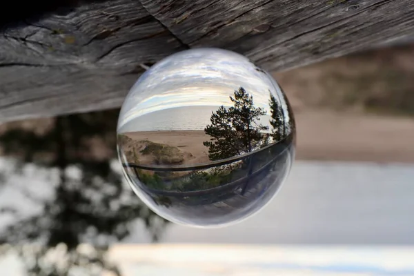 Baltık Denizi üzerinde güneş ışığı bulutları, durgun mavi deniz, beyaz bulutlar, ve kristal bir kürenin içinden görünen bazı dal siluetleri
