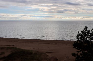 Baltık Denizi üzerinde güneş ışığı bulutları, durgun mavi deniz, beyaz bulutlar. Önplanda bazı dallar siluetleri