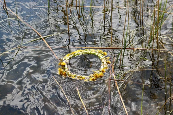Traditionally Made Dandelion Wreath Water Reeds — Zdjęcie stockowe