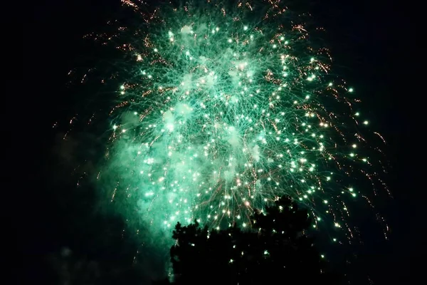 Fuochi Artificio Lussemburgo Che Celebrano Giornata Nazionale Compleanno Dei Granduchi — Foto Stock