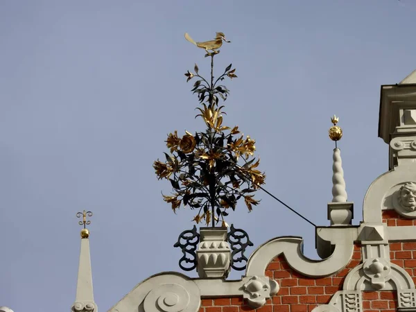 Decoration Facade Black Heads House Riga Latvia Elaborate Metal Flower — Fotografia de Stock