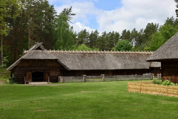 Stable Animals Built Timber Thatched Roof Latvian Ethnographic Open Air — Stockfoto