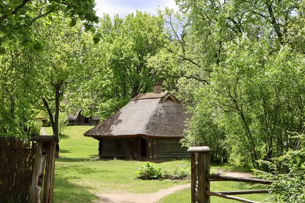 Living House Built Timber Thatched Roof Latvian Ethnographic Open Air — Stockfoto
