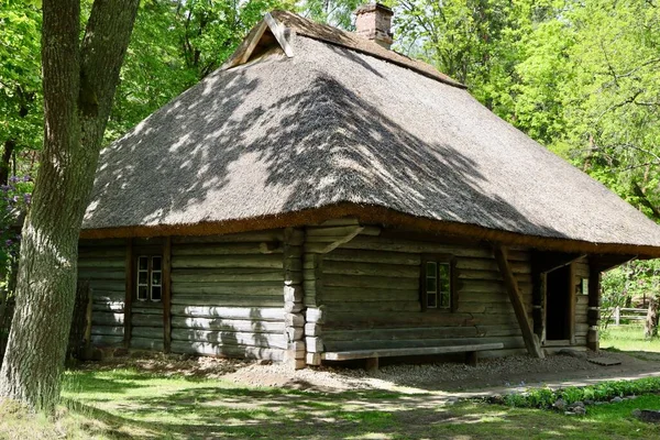 Rumah Tinggal Dibangun Dari Kayu Dengan Atap Jerami Latvia Etnografi — Stok Foto