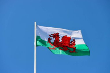 Galler bayrağı - Beyaz ve yeşil üzerine kırmızı ejderha geçişi - rüzgarda mavi gökyüzüne karşı yüzen cesur ve gururlu