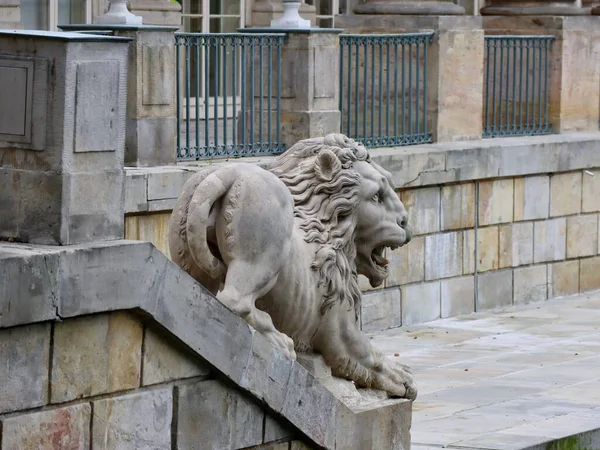 Lion Sculpture Lazienki Park Royal Baths Park Warsaw Poland — Fotografia de Stock
