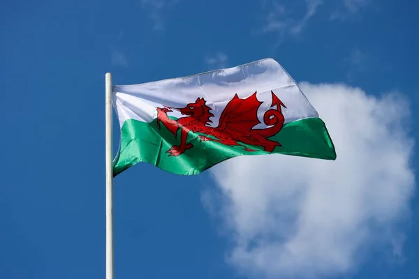 Wales Flag Red Dragon Passant White Green Bold Proud Floating — Foto de Stock