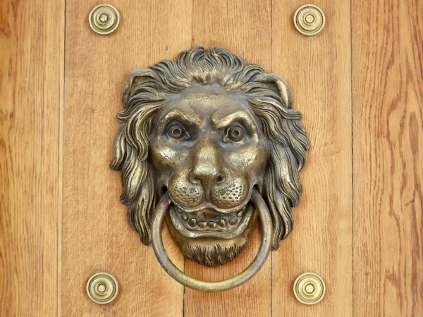 Lion Door Knocker Decorative Architectural Element Lazienki Park Royal Baths — Fotografia de Stock