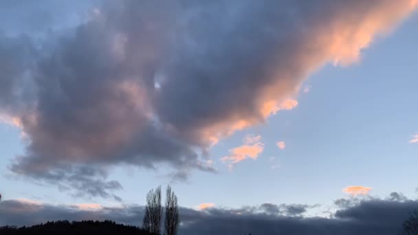 Poplar Tree Silhouettes White Dark Storm Clouds Moving Fast Wind — 图库视频影像