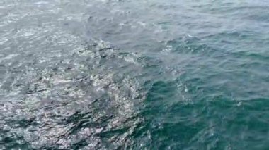 Smooth surface of far open Baltic sea. Deep blue water, reflections of sun light. Video taken from ship