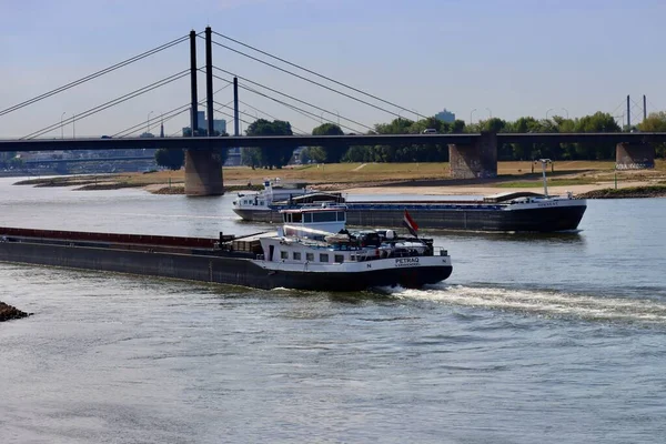 Frachtschiffe Rhein Einem Sonnigen Sommertag Niedrigwasserverhältnisse Aufgrund Des Langen Tiefgangs — Stockfoto