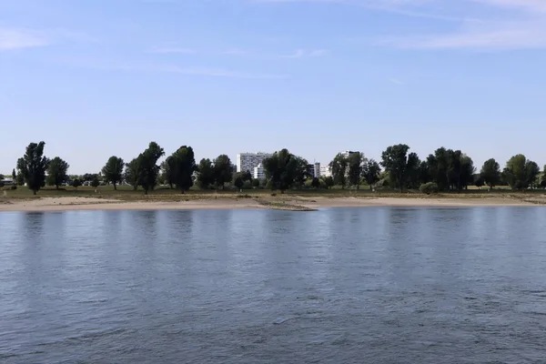 Река Рейн Солнечный Летний День Низкие Условия Воды Длительного Сквозняка — стоковое фото