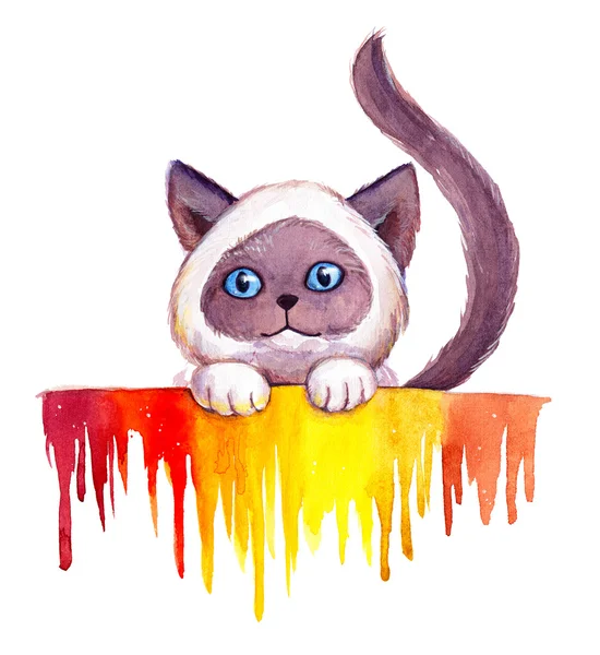 Kresba akvarel roztomilý kočka siam na bílém pozadí s abstraktní barevné kapky — Stock fotografie