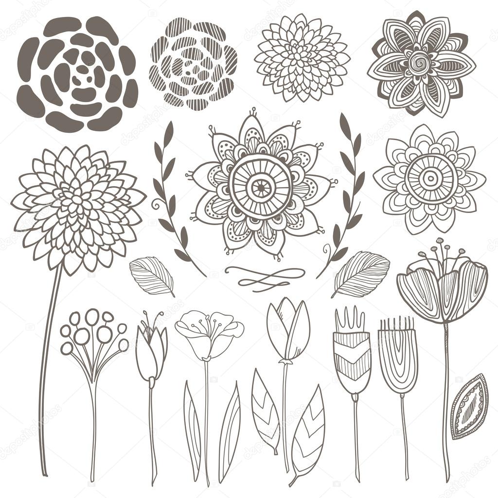 Vector hand drawn vintage floral elements. Set of flowers.