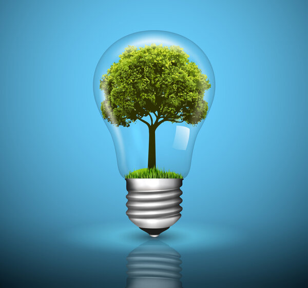 Light bulb with green tree growing inside