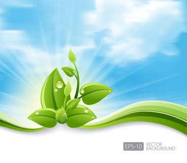 καλοκαίρι πανό με όμορφα φύλλα