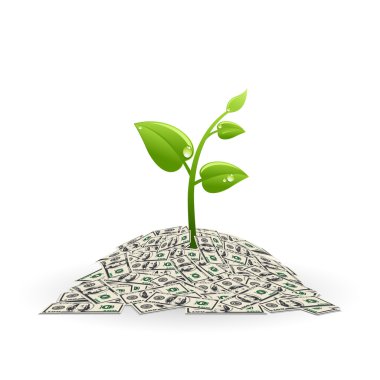 para yığınının içinde bitki
