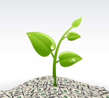 para yığınının içinde bitki