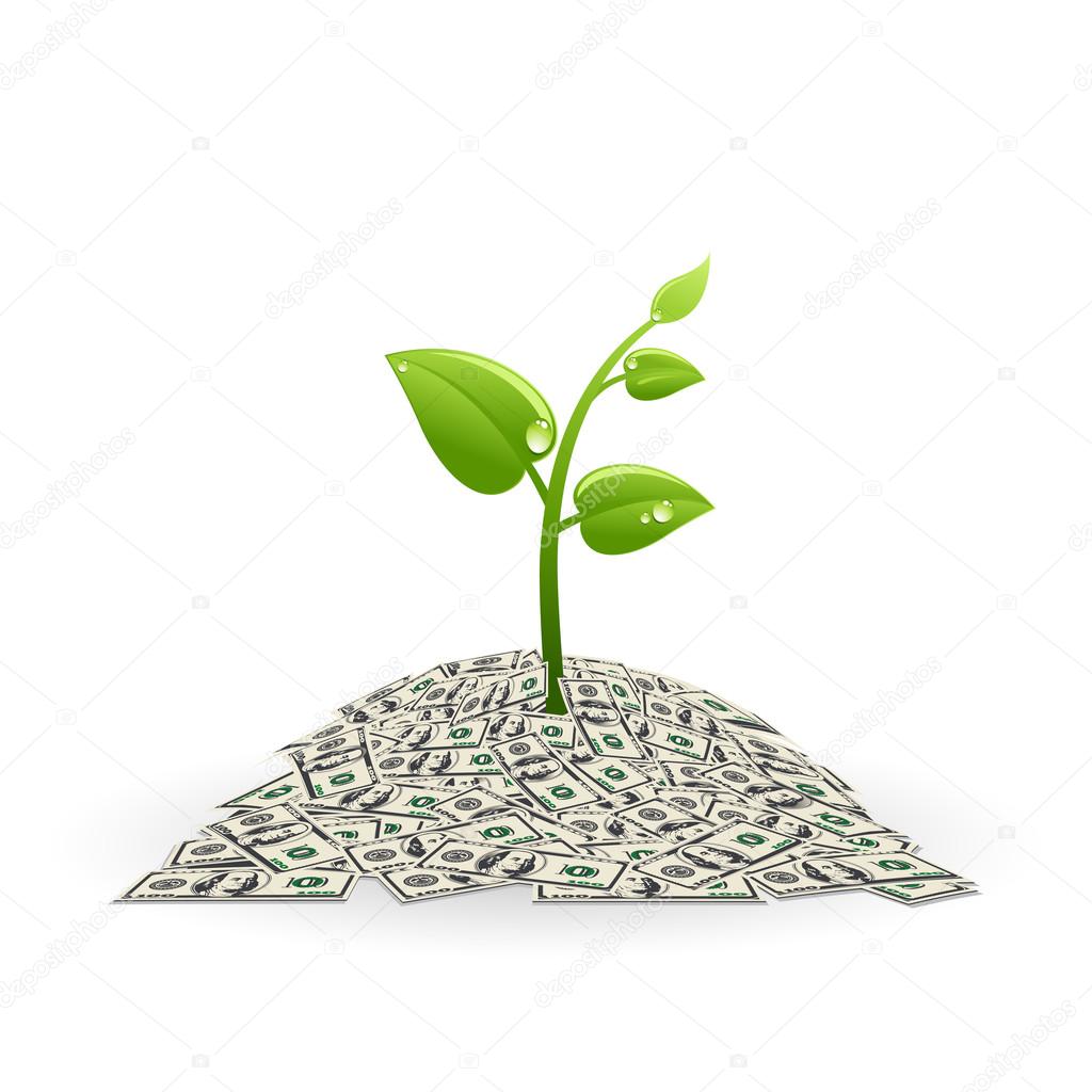 Plant in pile of money