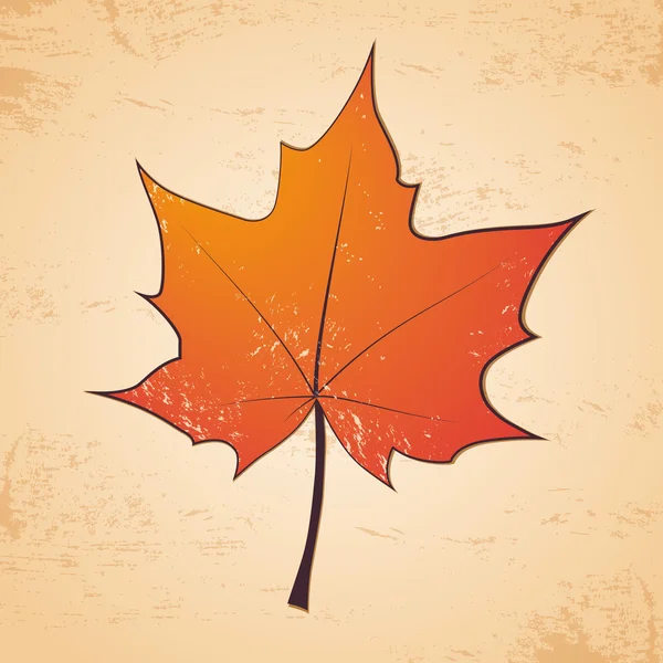 Podzimní javorový list — Stockový vektor