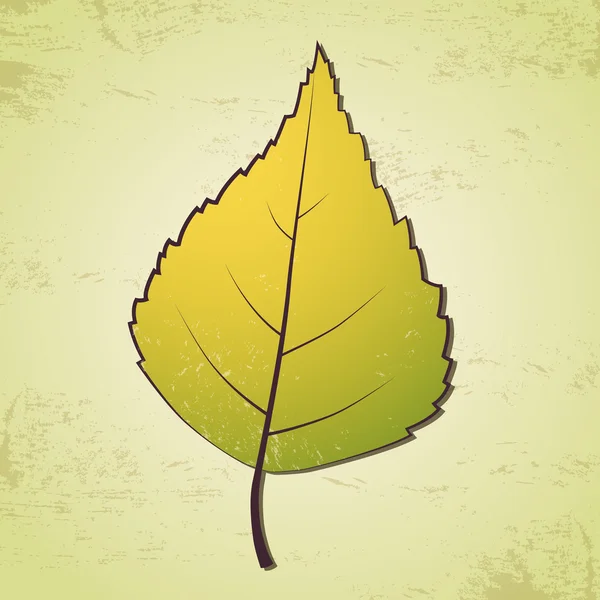 Podzimní březový list — Stockový vektor