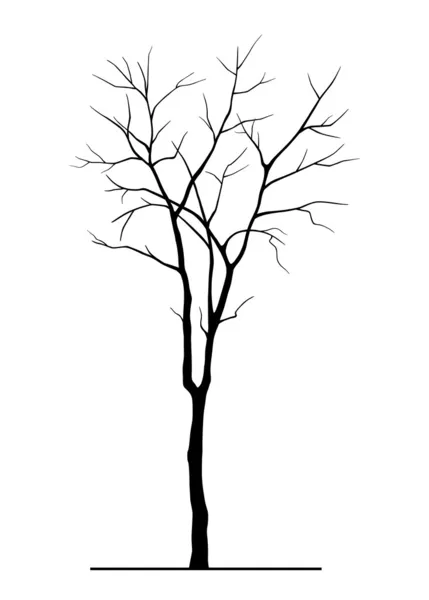 Silueta de árbol — Vector de stock