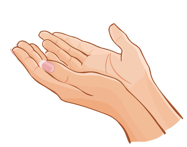 vector female hands carefully holding something isolated on whit