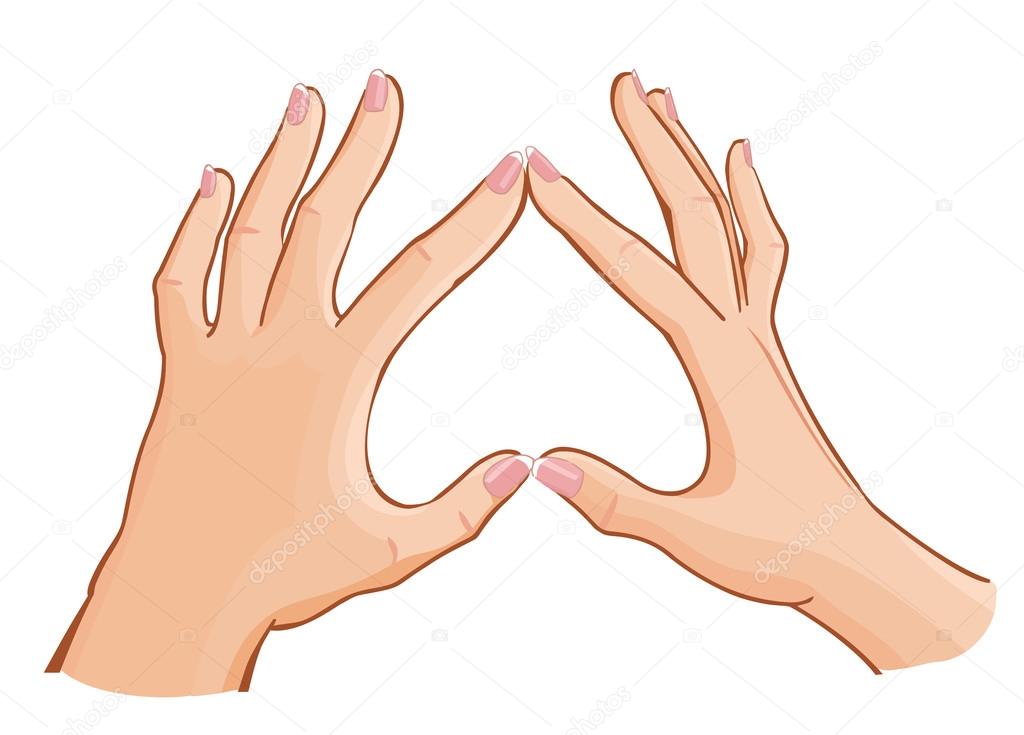 vector beautiful woman's hands showing heart isolated on white b
