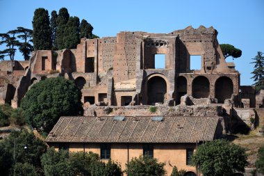 Roma - circus maximus