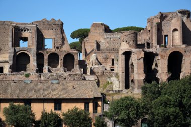 Roma - circus maximus