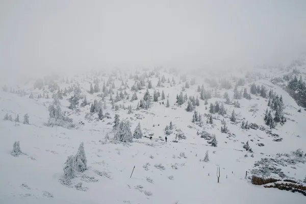 Winteraktivität — Stockfoto