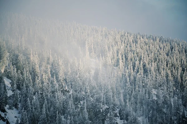 País cubierto de nieve —  Fotos de Stock