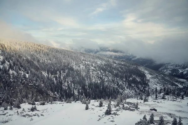 白雪皑皑的国家 — 图库照片