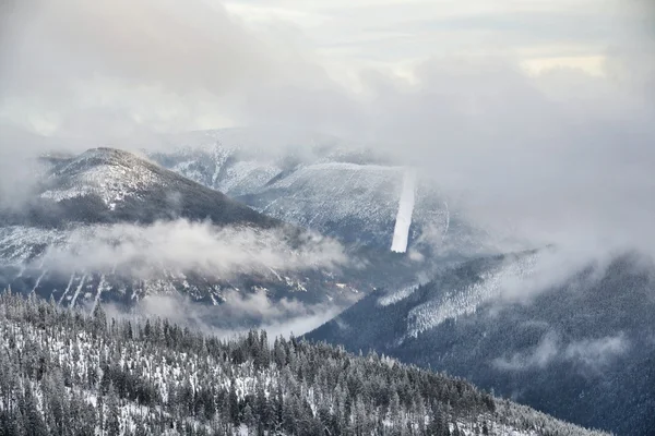 Paese innevato — Foto Stock