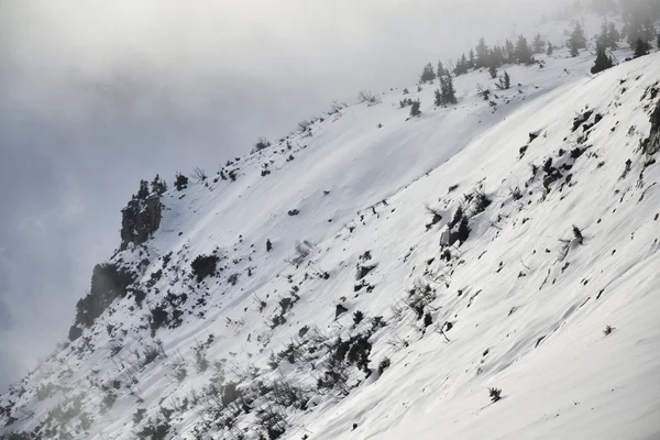 País de Inverno — Fotografia de Stock