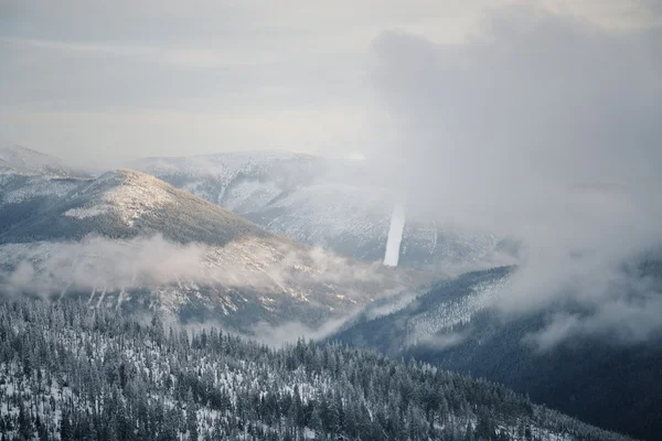 Schneeland — Stockfoto