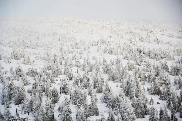 白雪皑皑的国家 — 图库照片
