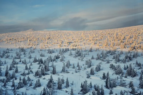 日落在白雪皑皑的国家 — 图库照片