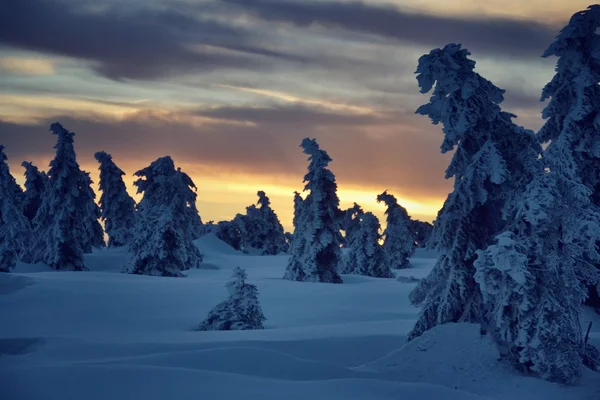 Tramonto nel paese innevato — Foto Stock