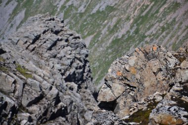 ben nevis zirvesinden göster