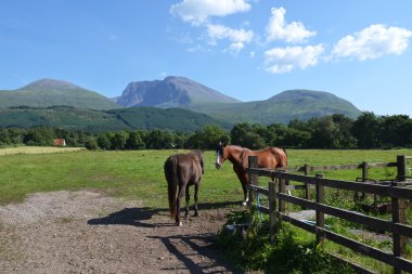 ben nevis - İngiltere'de en yüksek dağı atlarla