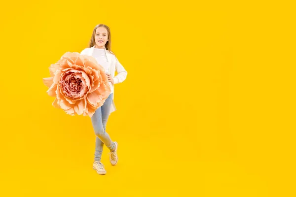 Egy Gyönyörű Lány Kezében Egy Hatalmas Bazsarózsa Virággal Sárga Háttérrel — Stock Fotó