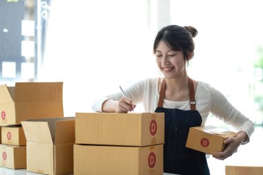 Küçük işletmeler kurma portresi KOBİ sahipleri fatura kutusu üzerinde çalışan kadın girişimciler ve kutuları paketlemek, müşterilere satmak, KOBİ iş fikirlerini çevrimiçi olarak satmak için İnternet üzerinden siparişleri kontrol ediyorlar